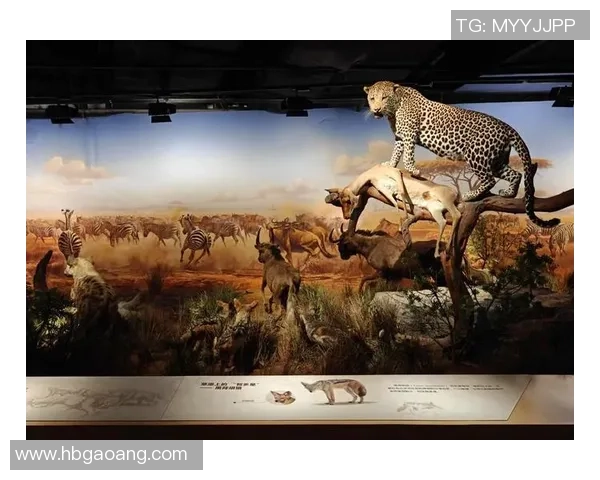 亚当斯的探索之旅:揭示人类智慧与自然和谐共生的奥秘 亚当斯的探索之旅:揭示人类智慧与自然和谐共生的奥秘