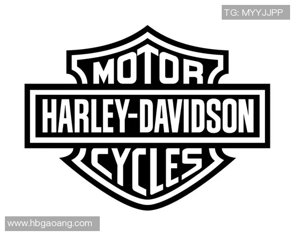 戴维森与贴吧的较量:网络文化的碰撞与思考 戴维森与贴吧的较量:网络文化的碰撞与思考