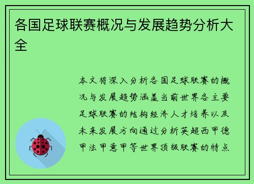 各国足球联赛概况与发展趋势分析大全