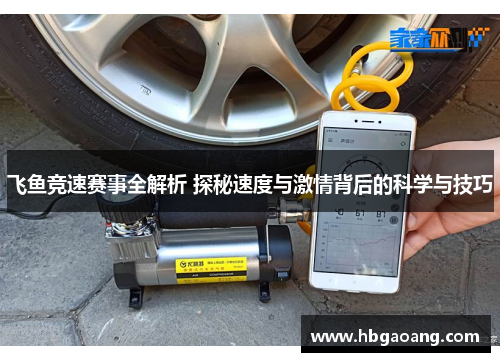 飞鱼竞速赛事全解析 探秘速度与激情背后的科学与技巧