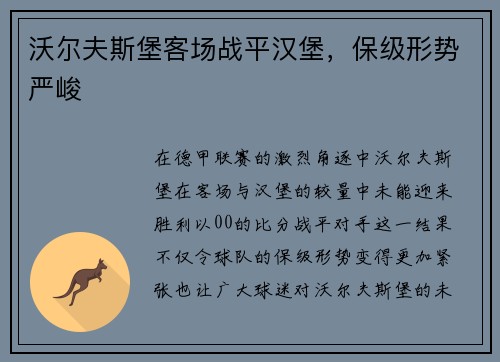沃尔夫斯堡客场战平汉堡，保级形势严峻