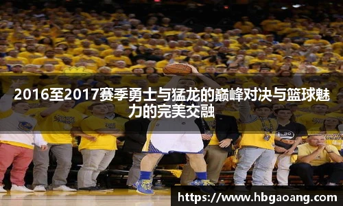 2016至2017赛季勇士与猛龙的巅峰对决与篮球魅力的完美交融