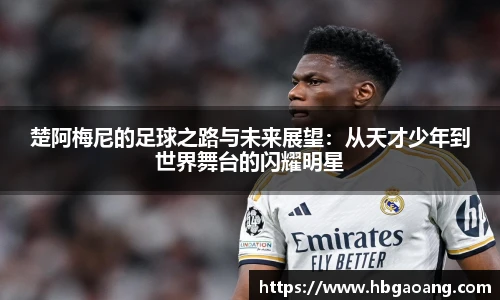 NG大舞台官方网址